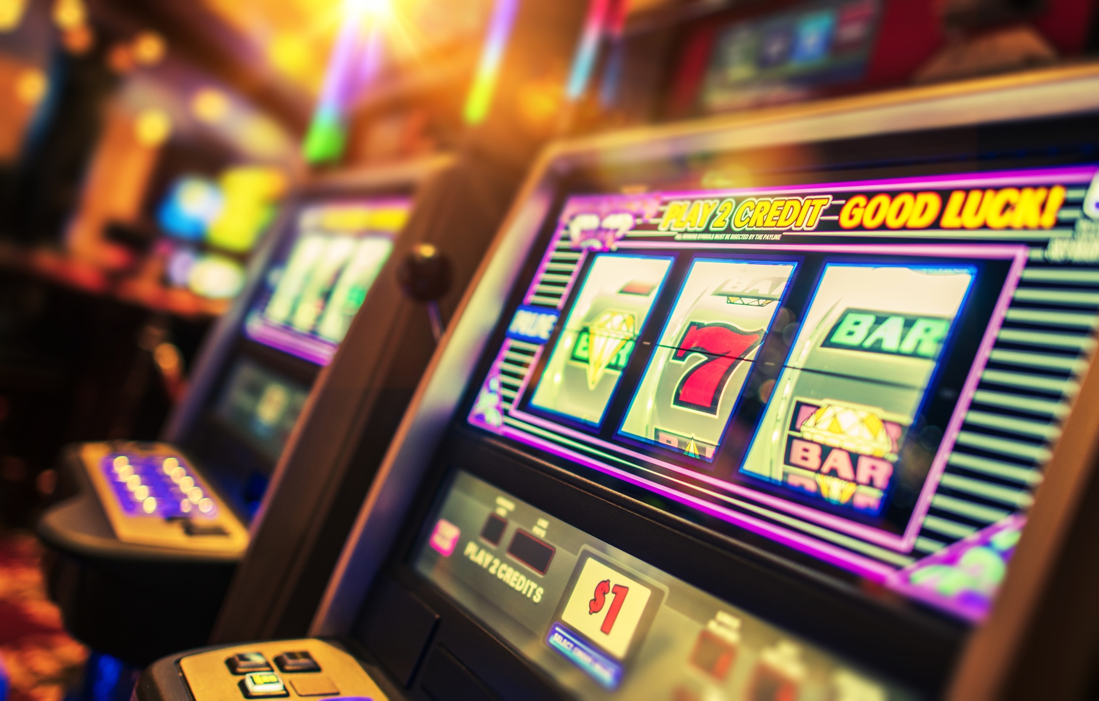 Slot Ikan Apa Saja Yang Paling Banyak Diunduh?